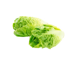 TF Romaine Heart