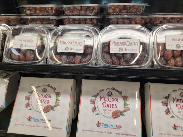 Medjool Dates